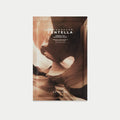 Probio-Cica Mask